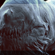 Illustration for article titled Concept Art From That Incredible Space Whale Short Film